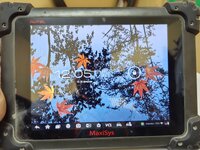 IMG_20250220_120528.jpg