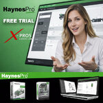 haynes pro.jpg