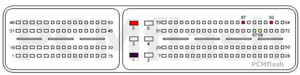 pcr21.jpg