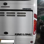 king long_1.jpg
