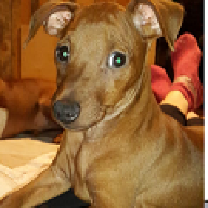 Андрей Бессоннов