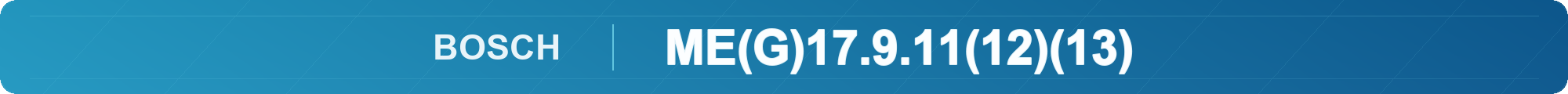 bosch-meg179111213-banner.png
